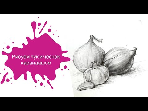 Видео: Рисуем Лук и Чеснок Простым Карандашом! Урок для начинающих👩🏻‍🎨