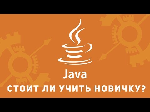 Видео: Стоит ли учить Java новичку. Стажировка Java