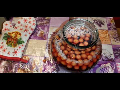 Видео: Вспенился кампот что делать