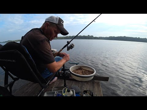 Видео: Перши осінні рибалки 🐟.Фідер, рибалка 2024🇺🇦