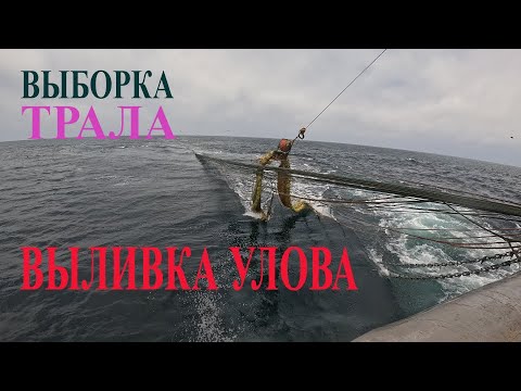 Видео: Выборка трала | РЫБОЛОВНОЕ СУДНО С РЫБНЫМ НАСОСОМ