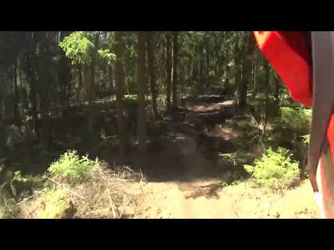 Видео: Лужский путь 18 05 2024. Класс бронза.