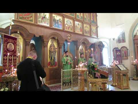 Видео: 01 Встреча