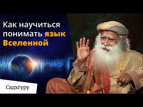 Видео: За пределами 5 органов чувств