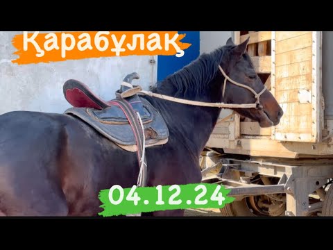 Видео: Жылқы бағасы 2-бөлім 04.12.24 Қарабұлақ мал базары