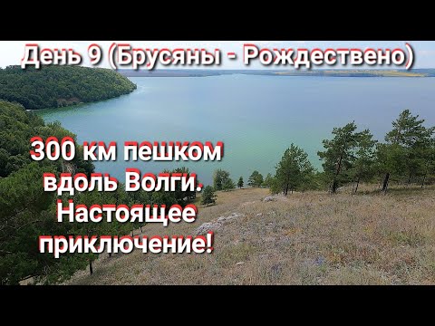 Видео: Ч.9. Поход от Брусяны до Рождествено по Южным Жигулям вдоль Волги. Жигулёвская кругосветка пешком.