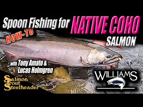 Видео: Ловля кижуча на блесну