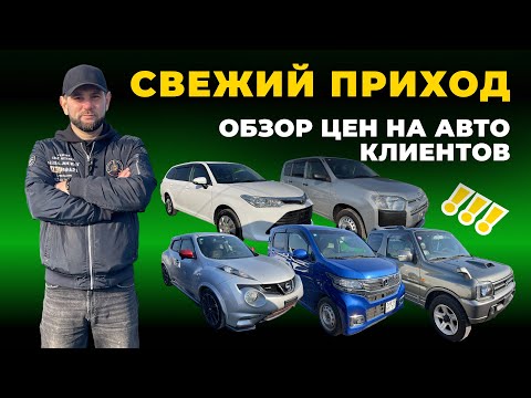 Видео: Обзор цен на автомобили наших клиентов