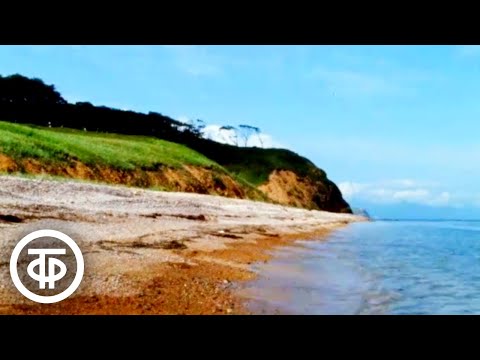 Видео: Остров Путятина. Документальный фильм (1974)