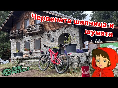 Видео: Червената шапчица и шумата