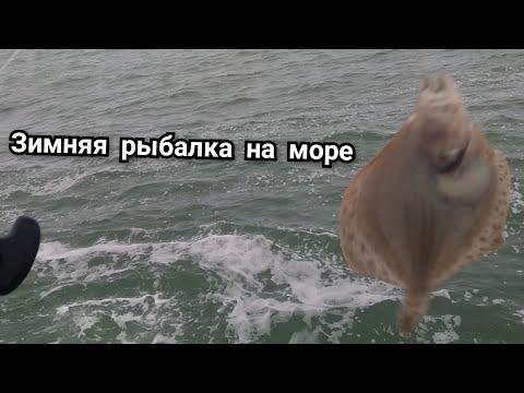 Видео: Ловля камбалы и бычка в декабре.Рыбалка с пирса в Черном море.