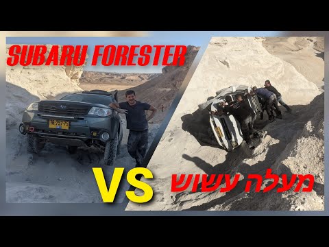 Видео: Subaru FORESTER Off Road TEST with Diff lock נחל עשוש עם סובארו פורסטר. Тяжкое испытание для Субару
