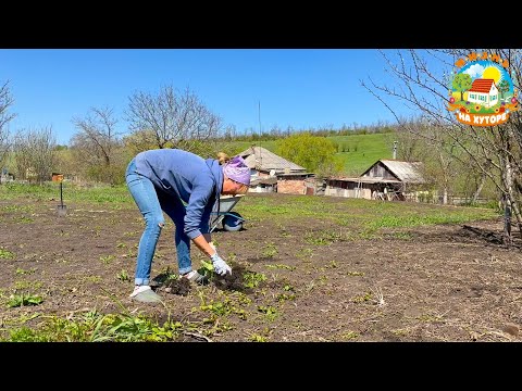 Видео: 🟢НАШ ДЕРЕВЕНСКИЙ ДЕНЬ! Косим, пашем, сеем! Вспахали ещё один огород под картошку!