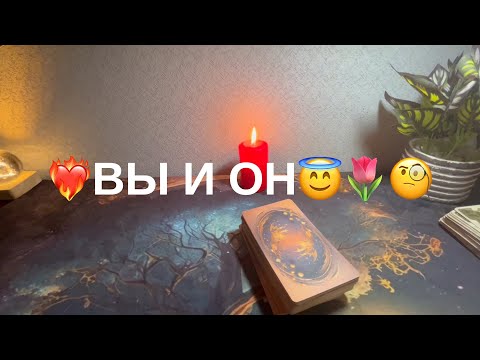 Видео: 1 ноября 2025 г.