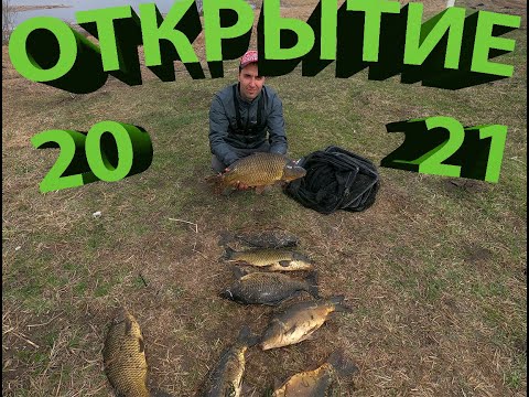 Видео: Удачная ловля карпа весной по холодной воде. Отловились лучше всех на водоеме.