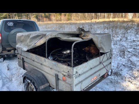 Видео: Сгоняли на коп. Наверное всё, заключительный на этот год.