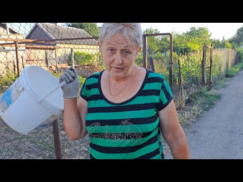 Видео: Новости нашего маленького двора