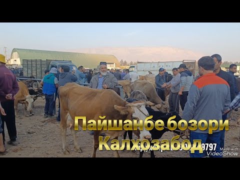 Видео: Пайшанбе бозори Калхозабод