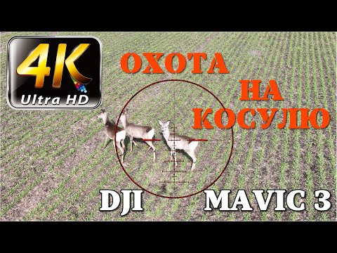 Видео: Охота на косулю с дроном. Замедленная съемка. Часть #3