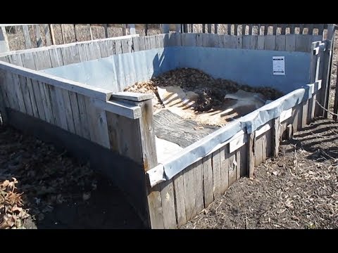 Видео: Дендробена в компостной яме .