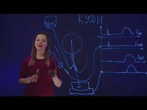 Видео: КУДИ- комплексное уродинамическое исследование - основной метод диагностики нарушений мочеиспускания