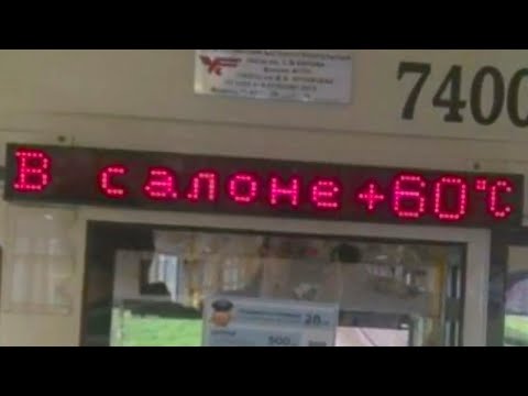 Видео: Лето прошло зря, если не было вот этого!