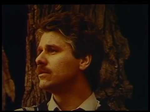 Видео: Павло Зібров - Музичний фільм - Спогад 1990 рік