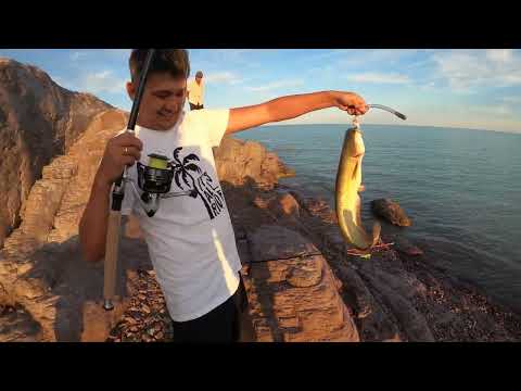 Видео: Рыбалка на Балхаше, Белый камень  02 июля 2023