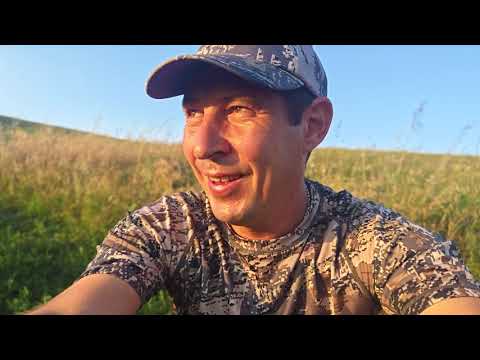 Видео: Охота на сурка байбака
