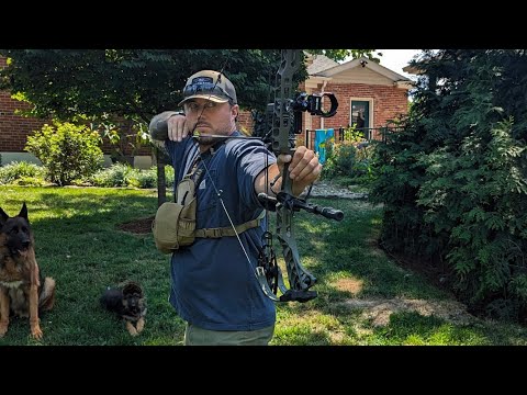 Видео: Лучший релиз за ваши деньги: Spot Hog Wise Guy Release (10 000 повторений) 💪