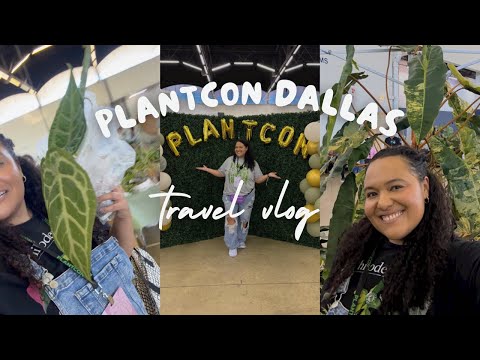 Видео: Видеоблог PlantCon Dallas, часть 1 | Конференция по комнатным растениям, покупка растений