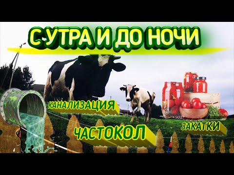 Видео: ✅ ОДИН ДЕНЬ из жизни в деревне в роли ХОЗЯЕВ.