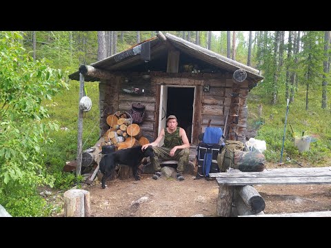 Видео: На рыбалку с ночёвкой/ Спиннинг и кружки/ Щуки и окунь/ Чернику граблями.