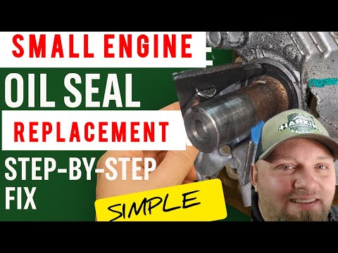 Видео: Замена сальника двигателя малого объема | Пошаговое решение без стресса