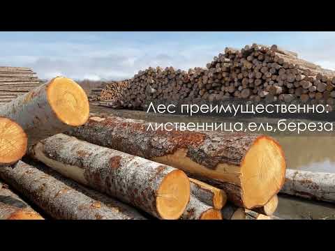 Видео: ЛЕСОПИЛЬНАЯ ЛИНИЯ "ТРИУМФ" В РАБОТЕ  НА О.САХАЛИН