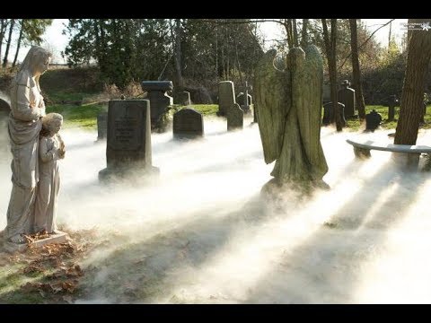 Видео: Смерти в дневниках вампира