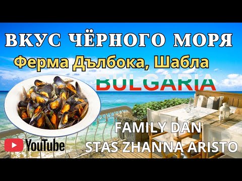 Видео: Болгария. Ресторан у моря. Дълбока
