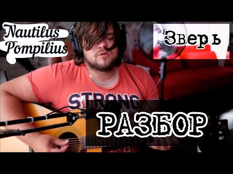Видео: "Nautilus Pompilius - Зверь". Подробный разбор аккордов и боя