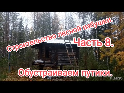 Видео: Строительство лесной избушки. Часть 8./ Проверка путика.