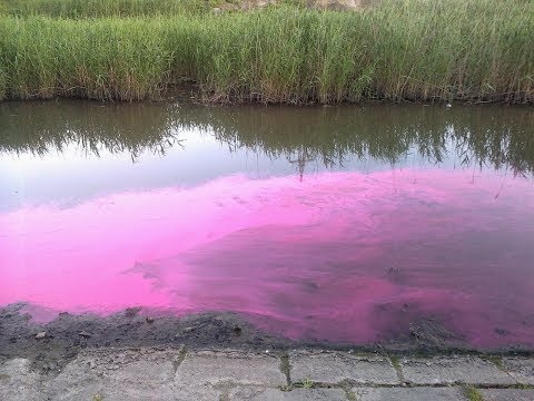 Видео: Ужасы нашего городка .1часть  . Запорожье . 05.06..18г. Мокрая Московка .