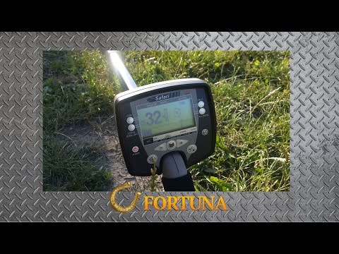 Видео: Инструкция по Minelab Safari.