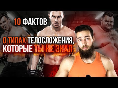 Видео: Телосложение: Эндоморф, Мезоморф, Эктоморф