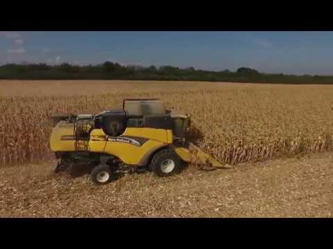 Видео: Жътва царевица 2019