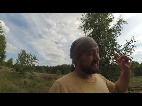 Видео: Саман 2020! ошибки, нюансы, результат, планы