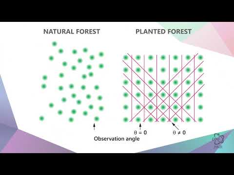 Видео: 1.11 Ядерная структура и стабильность самых тяжёлых ядер