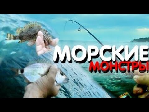 Видео: ОХОТА НА МОРСКИХ МОНСТРОВ || МОРСКАЯ РЫБАЛКА || РЫБАЛКА АРХИПО ОСИПОВКА