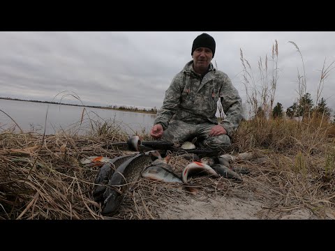 Видео: РЫБАЛКА ТАМ ГДЕ ДИКИЙ КЛЁВ И РЫБЫ ТЬМА! НА ЯМАЛЕ ВДАЛИ ОТ РЫБАКОВ РЫБНОЕ И ЩЕДРОЕ ОЗЕРО РАБОТАЕТ!
