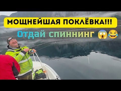 Видео: Лучшей поклёвки я не видел! Почти перелом кисти 😂😁🎣