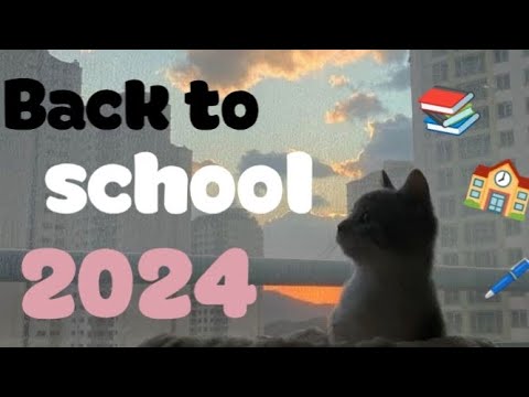 Видео: Back to school 2024 || покупки к школе