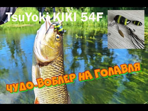 Видео: Новинка 2023 - кренк TsuYoki KIKI 54F! Первая рыбалка на КИКИмору и сразу трофеи!